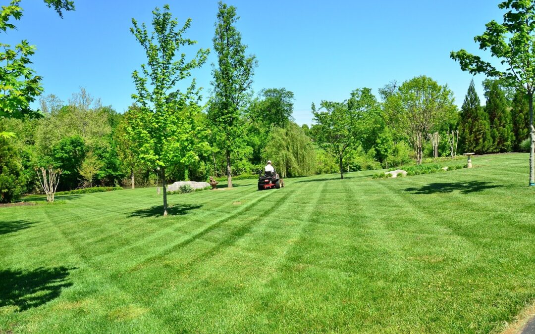 How To Keep Weeds Out Of Your Yard